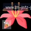 jn江南体育 logo