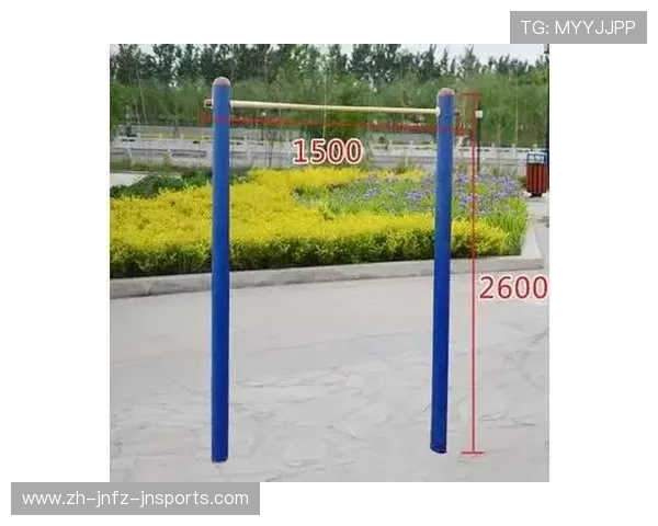 负重健身器材：负重型健身器材的训练作用及安全注意事项